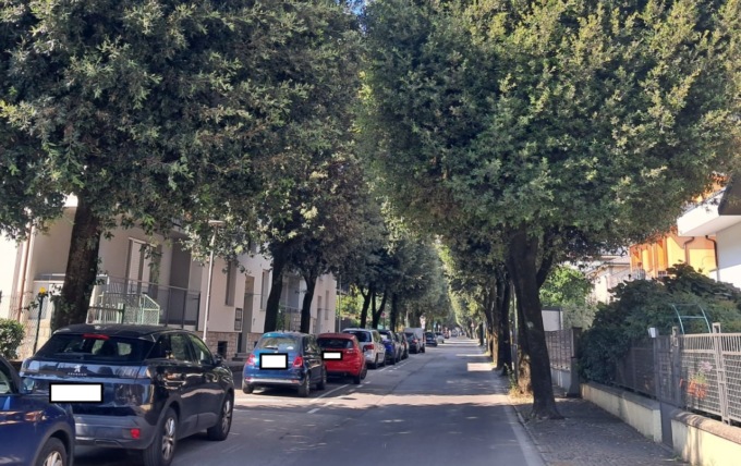 Raccolte già più di 1.200 firme per salvare gli alberi di via Manzoni a Dalmine