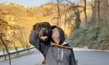 Chi era Giulio Bonvicini, trovato senza vita nel Brembo: per 40 anni benzinaio in Malpensata