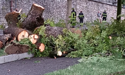 A Bergamo si contano i danni del maltempo. Attivato un canale per segnalare i disagi