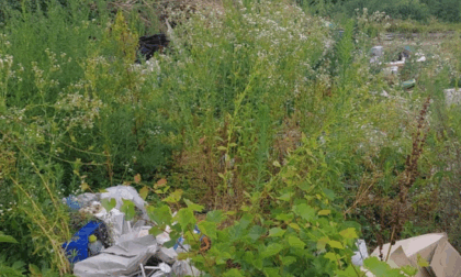 Pista ciclabile alla Trucca con rifiuti, vegetazione e rami. Ribolla (Lega): «Interventi per ripristinare l'area»