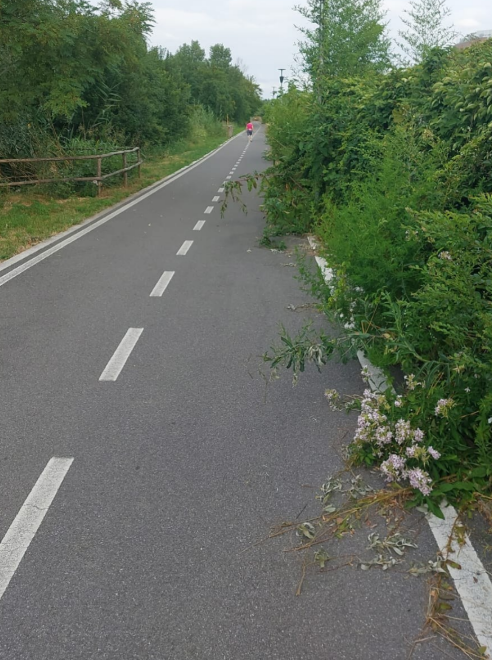 ciclabile trucca bergamo 3