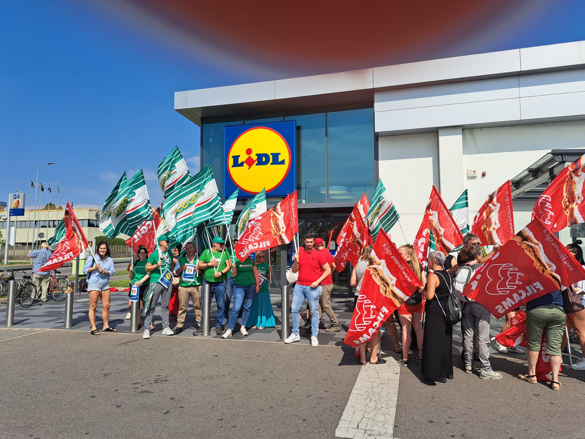 lidl 33