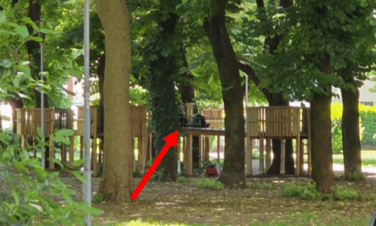 Spostare i giochi del Parco Avventura alla Trucca? «Rimangono lì, costerebbe troppo»