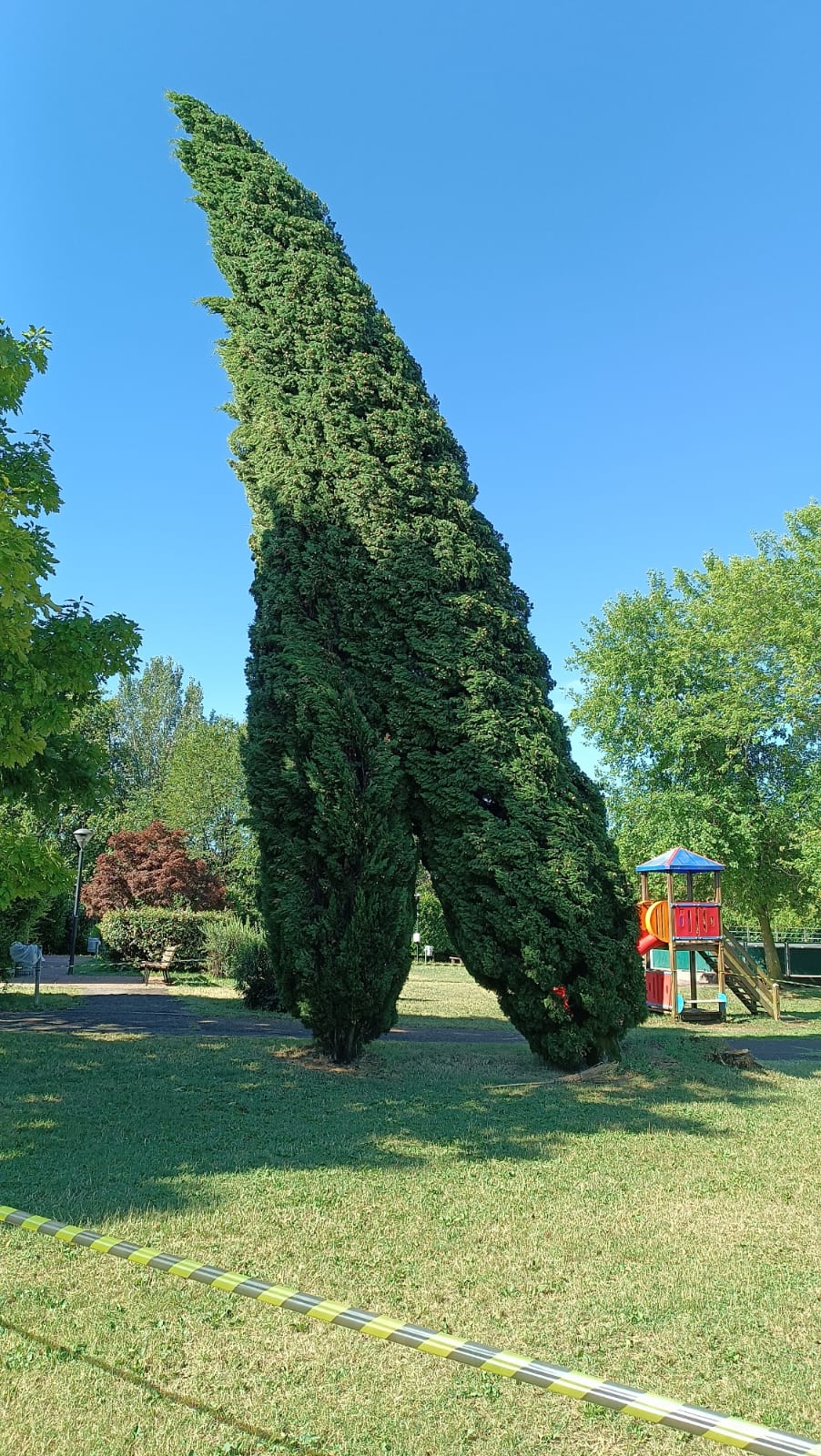 parco pilo2