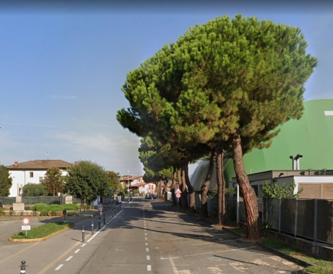 Slitta il taglio di 48 pini storici di Carobbio. E i cittadini critici chiedono la revisione del progetto