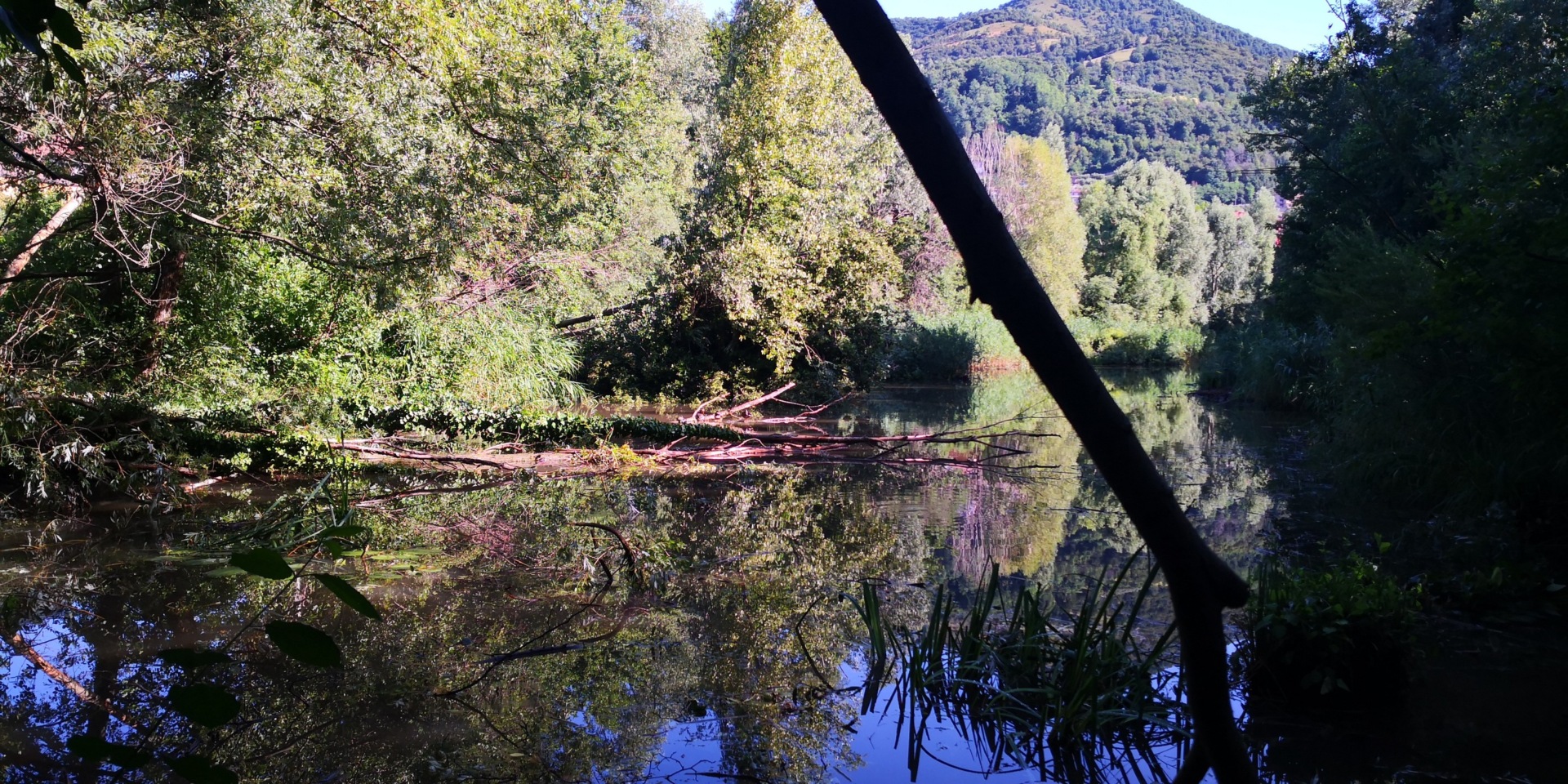 saletti di nembro