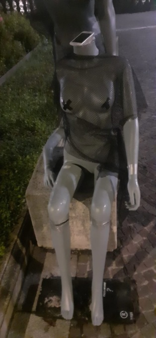 Vandalizzata dopo neanche una settimana l’opera posizionata nel giardino centrale di San Pellegrino