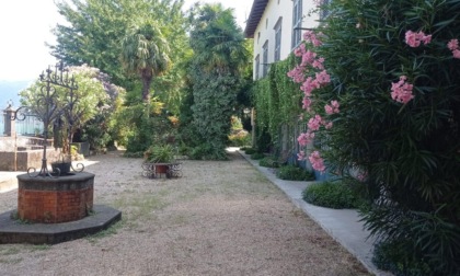 Villa Fenaroli e il suo giardino botanico in vendita a Tavernola: «Regione la acquisti e diventi un bene pubblico»
