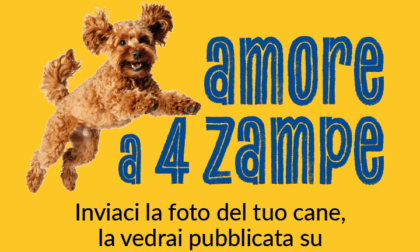 Giornata mondiale del cane 2025: mandateci le vostre foto e le pubblicheremo sul giornale!
