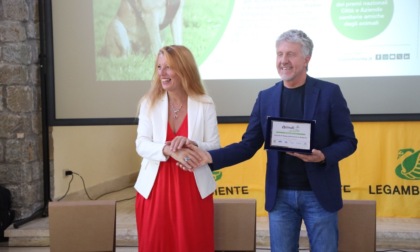Ats Bergamo riceve il Premio "Animali in Città 2025": è la migliore d'Italia nel tutelarli