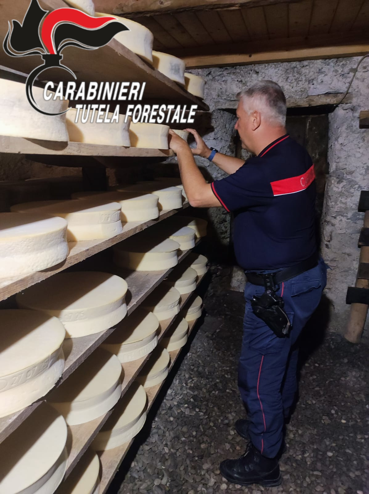 Controlli produzioni casearie DOP in Alpeggio