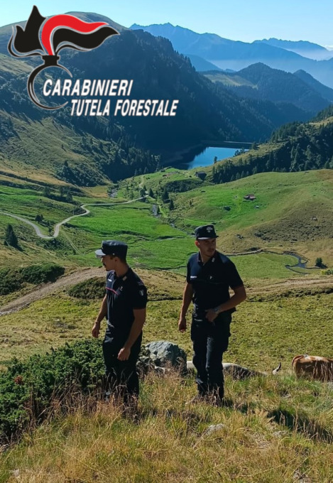 Un agosto intenso per i carabinieri forestali bergamaschi: tanti controlli e interventi