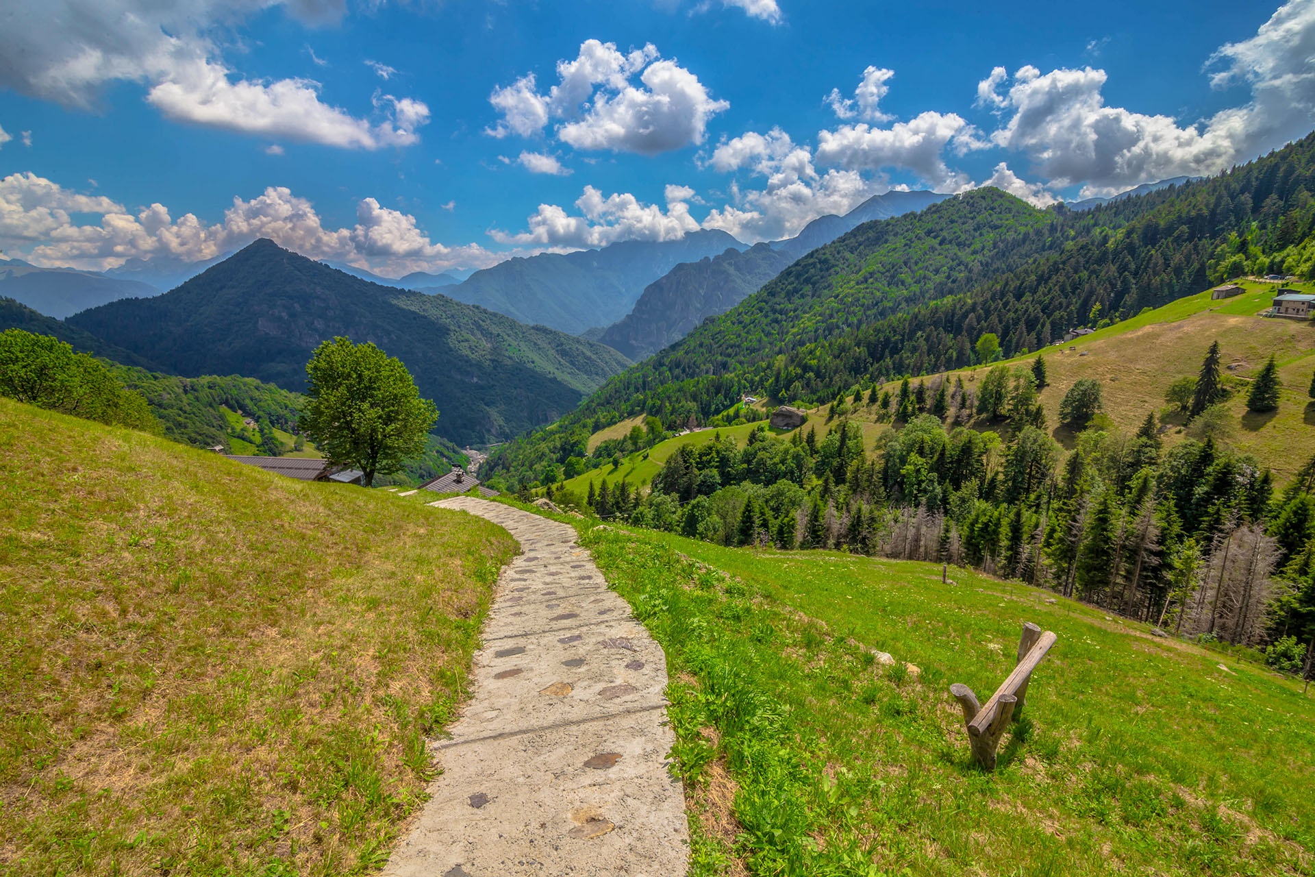 Paesaggio 1