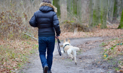 Anche a Mozzo stretta sull'obbligo del guinzaglio per i cani, con multe fino a 500 euro