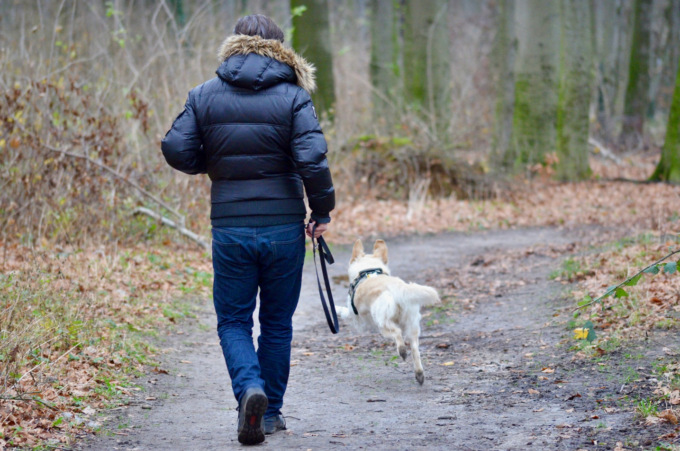Anche a Mozzo stretta sull’obbligo del guinzaglio per i cani, con multe fino a 500 euro