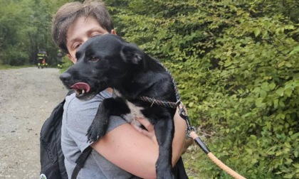 Salvataggio in quota tra le montagne di Ardesio: il piccolo Boss è stato ritrovato