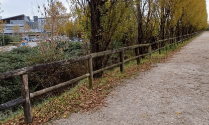 Interventi nei parchi di Longuelo, alla Trucca e ai giardini Montalcini e dei Gelsi
