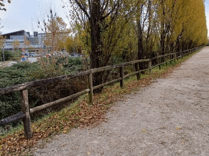Interventi nei parchi di Longuelo, alla Trucca e ai giardini Montalcini e dei Gelsi
