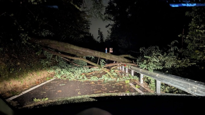 Torre de’ Busi, blackout di qualche ora causa maltempo: un albero è caduto su un cavo