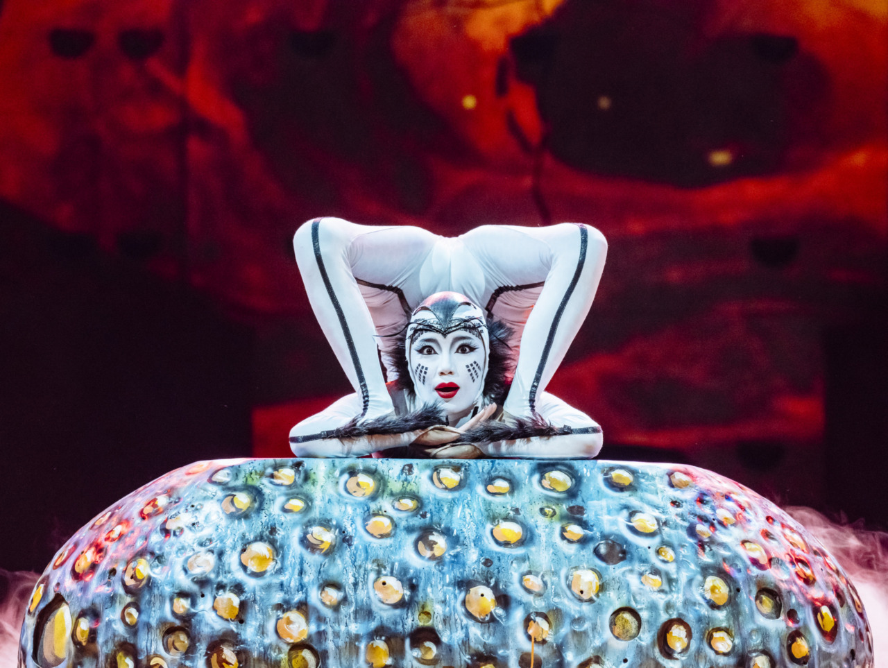 Il Cirque du Soleil per la prima volta a Bergamo: sei repliche di “Ovo” alla ChorusLife Arena in aprile