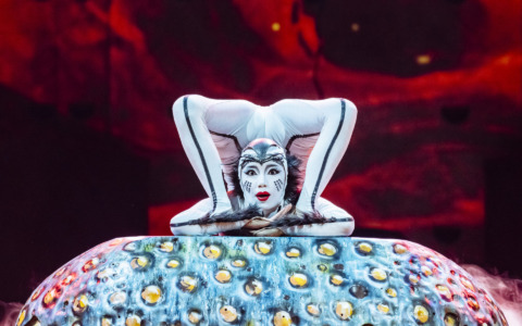 Il Cirque du Soleil per la prima volta a Bergamo: sei repliche di “Ovo” alla ChorusLife Arena in aprile