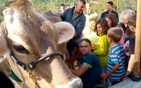 La mostra agro zootecnico alla Valle del Lujo: «Qui sapori autentici e cultura contadina»