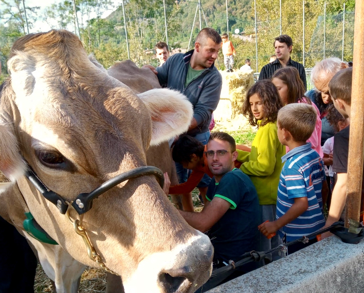 La mostra agro zootecnico alla Valle del Lujo: «Qui sapori autentici e cultura contadina»