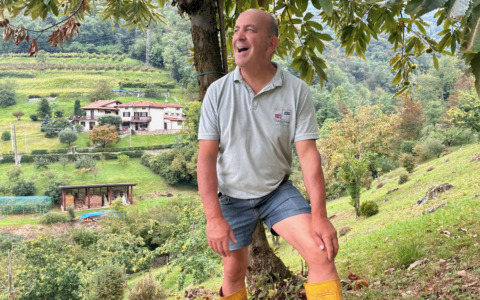 Ad Alzano Lombardo c’è un luogo da cartolina: è il regno delle castagne di Paolo Lussana