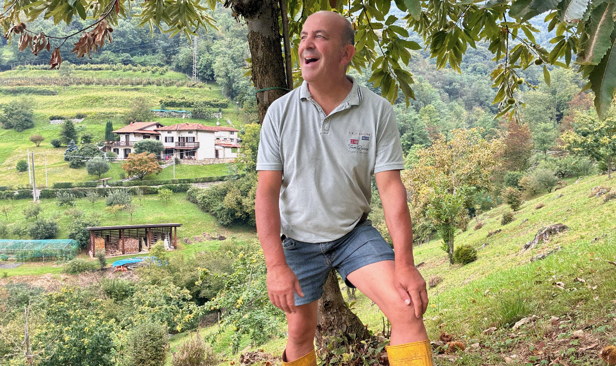 Ad Alzano Lombardo c’è un luogo da cartolina: è il regno delle castagne di Paolo Lussana
