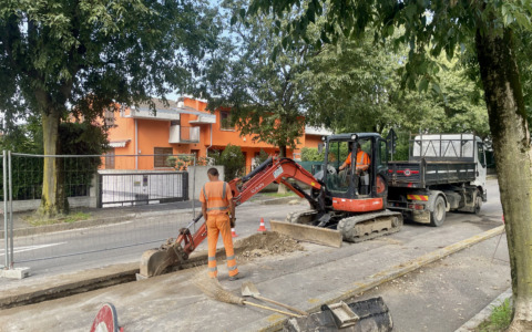 Lallio dice addio ai bagolari piantani ben sessant’anni fa, arrivano i peri ornamentali