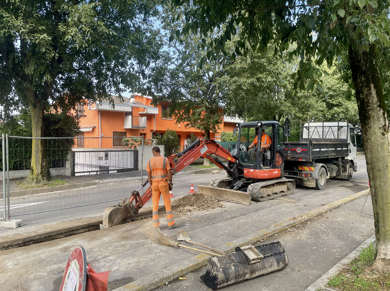 Lallio dice addio ai bagolari piantani ben sessant’anni fa, arrivano i peri ornamentali