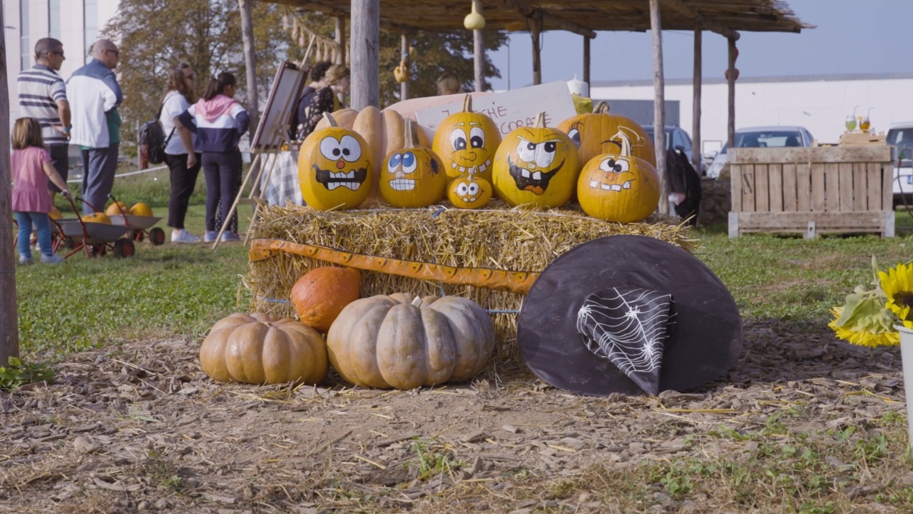 Tulipania rilancia Halloween: escape room “su misura” nel giardino di zucche