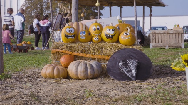Tulipania rilancia Halloween: escape room “su misura” nel giardino di zucche