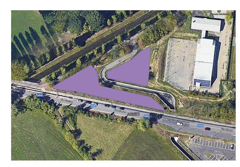 Presto la forestazione del quartiere di Loreto. Sono stati donati 250 alberi alla città