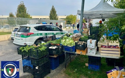 Controlli nei Comuni della Bassa: sanzioni della polizia locale per commercio abusivo