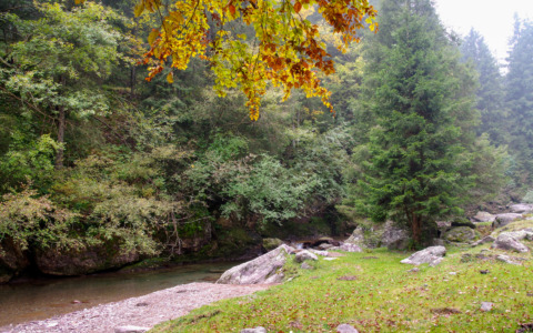 Tutti gli eventi del fine settimana (18 e 19 ottobre) nelle nostre valli