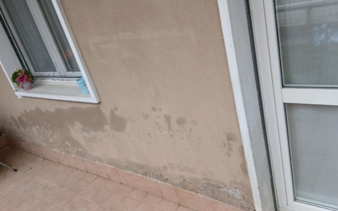 «Vivo tra muffa, crepe e muri marci»: la denuncia di una residente delle case Aler di via Celadina