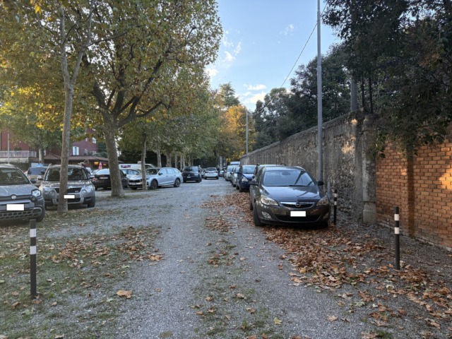 Irruzione al Santuario della Madonna del Castello durante la messa, la famiglia dell’anziano: «È mio padre a essere stato aggredito»