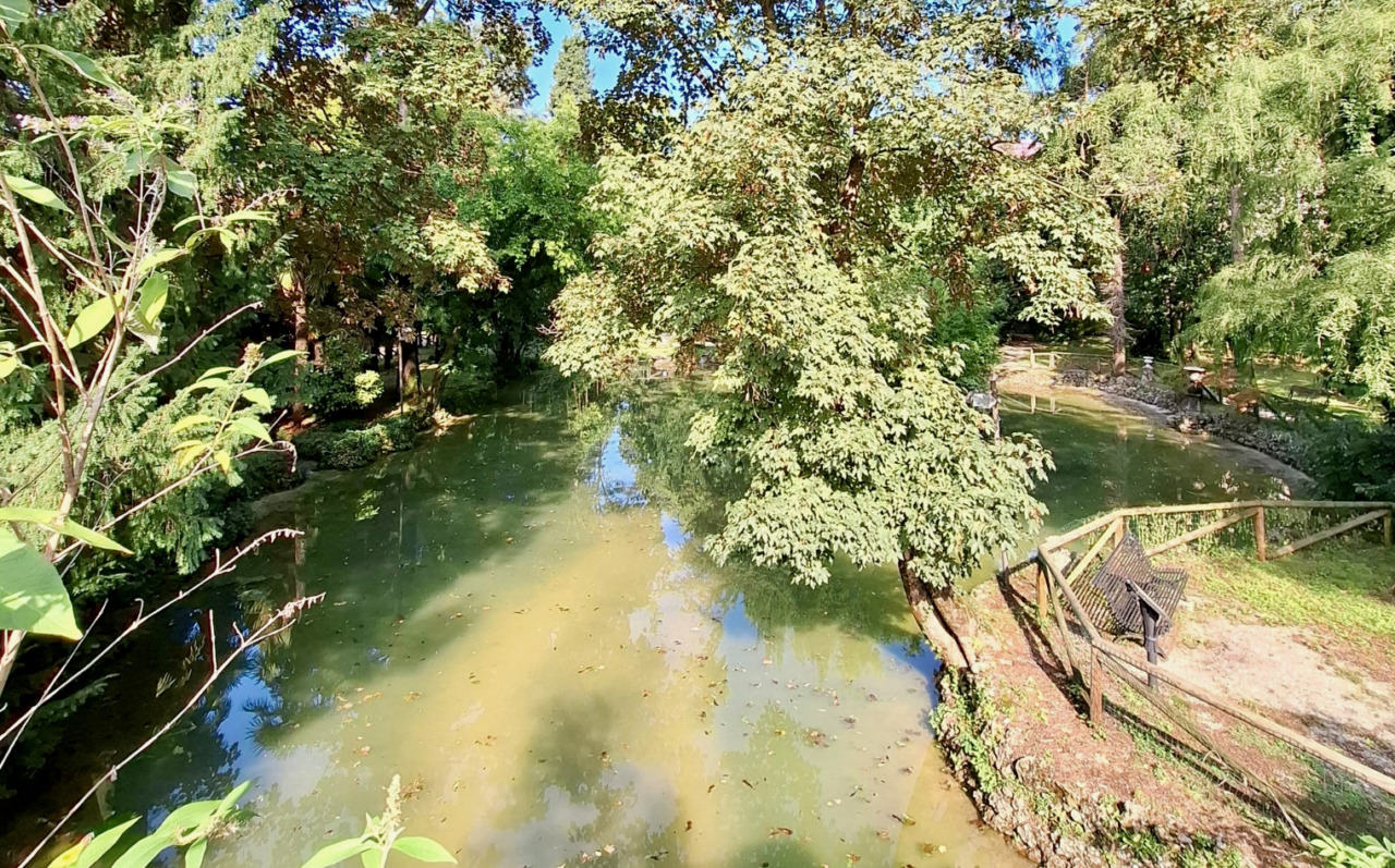 Al Parco Marenzi sono iniziate le “immersioni forestali”, per reimparare la lentezza