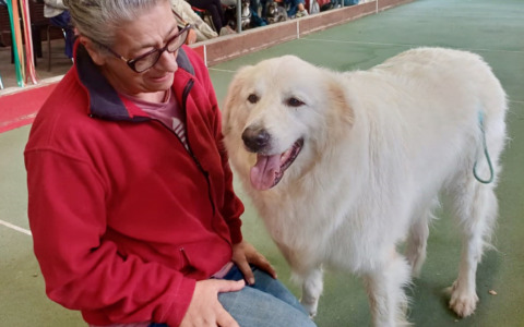 A Ponte San Pietro un pomeriggio di festa per gli amici a quattro zampe tra risate, emozioni e tenerezza