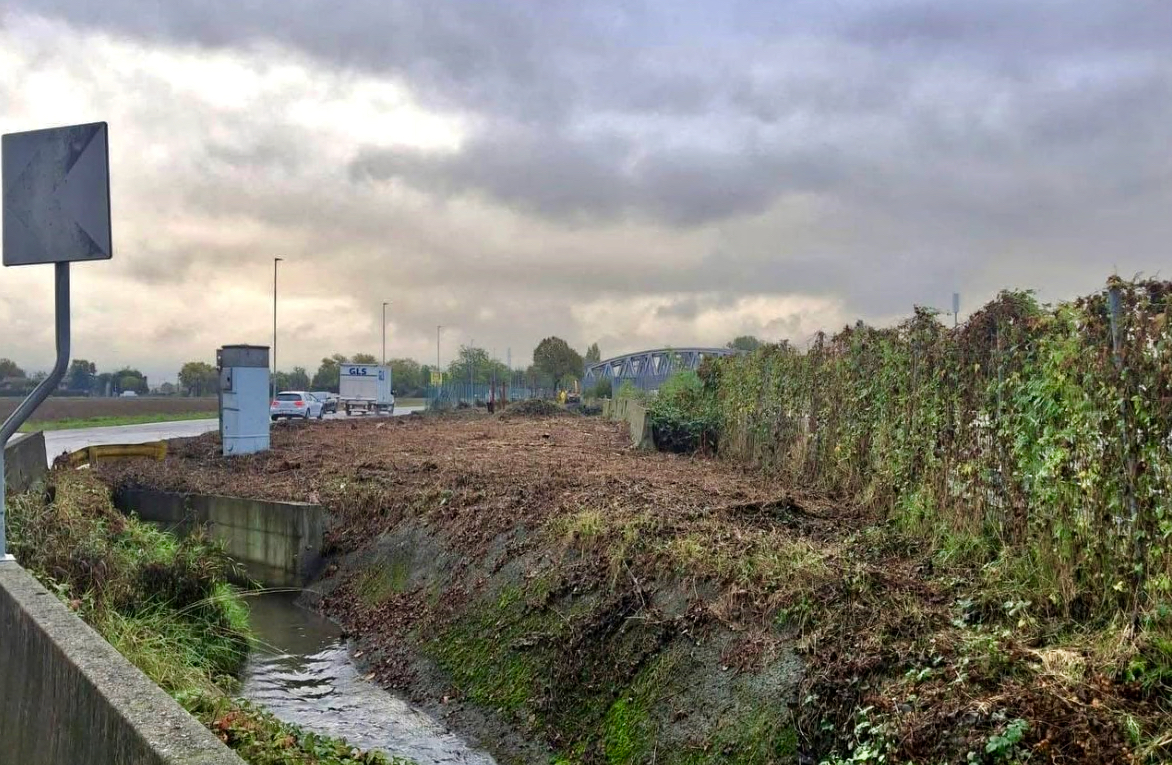 Bonifica, manutenzioni e fototrappole: interventi per cambiare volto a via Boito a Stezzano