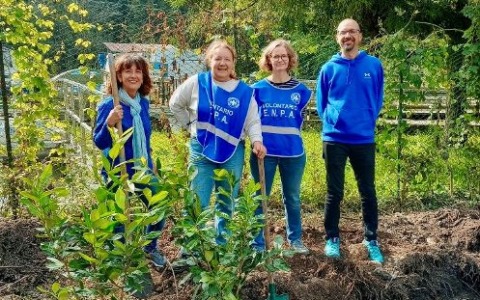 Novità sul progetto “Complesso nel Bosco” di Clusone, lo spazio all’aperto dove lasciar vivere i gatti randagi