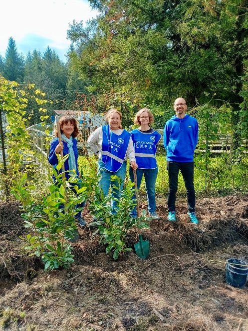 Novità sul progetto “Complesso nel Bosco” di Clusone, lo spazio all’aperto dove lasciar vivere i gatti randagi