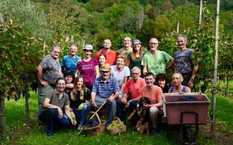 La vendemmia del signor Giuseppe di Trescore Balneario, 89 anni di tradizione e amicizia