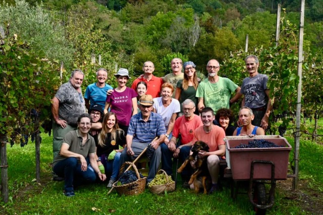 La vendemmia del signor Giuseppe di Trescore Balneario, 89 anni di tradizione e amicizia