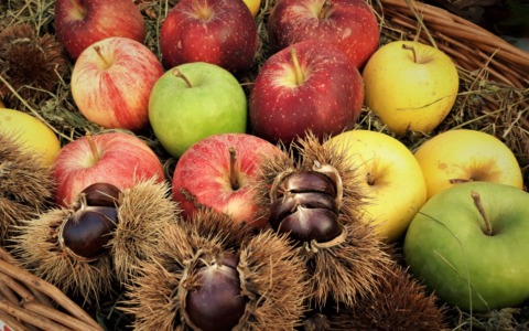 “Sapori d’Autunno”, a Piazza Brembana il 9 novembre una giornata di gran festa (e a chilometro zero)