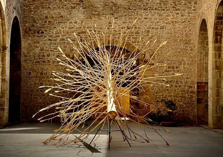 A Bergamo, vicino al Teatro Donizetti, arriva l’Albero dei Tutti, per ricordare le vittime della mafia