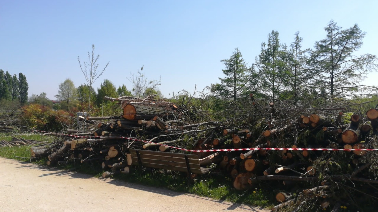 Al Parco della Trucca saranno messi a dimora 120 nuovi alberi