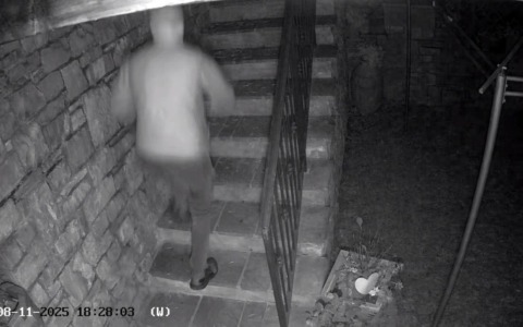 A Ponteranica cresce la paura dei furti tra i residenti, ma la sindaca frena: «Serve calma, nessuna caccia al ladro»