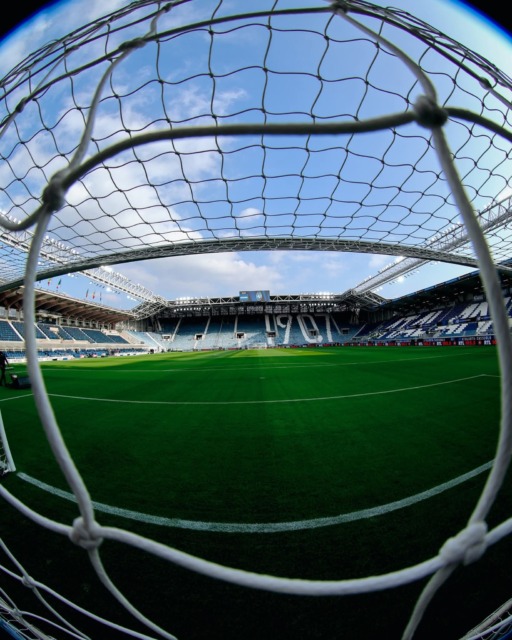 Responsabilità, spirito e valore della rosa: per guardare avanti con fiducia si parte da qui